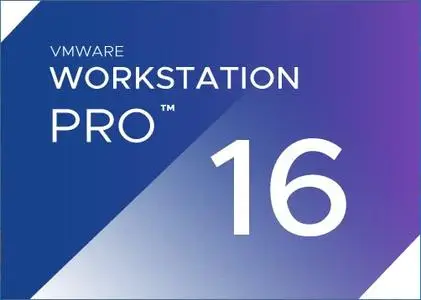 VMware Workstation Pro 16.1.0 Build 17198959 (x64)