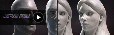 Sculpting Male and Female Faces in ZBrush