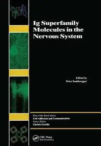 Ig Superfamily Molecules in the Nervous System