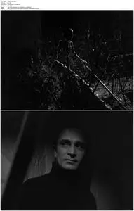 The Spy in Black (1939)