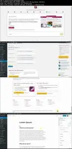 SEO 2019: SEO For Wordpress Websites + On Page SEO