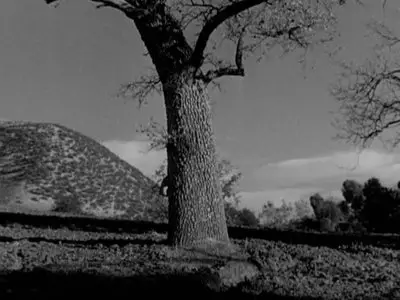 The Lusty Men (1952)