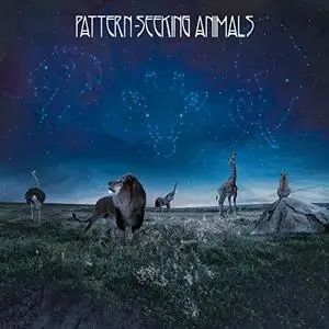 Pattern-Seeking Animals - Pattern-Seeking Animals (2019) [Official Digital Download 24/96]