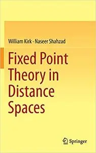 Fixed Point Theory in Distance Spaces