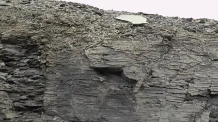 CuriosityStream TV - Breakthrough: Recovering from Extinction (2019)