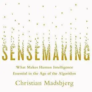 Sensemaking: What Makes Human Intelligence Essential in the Age of the Algorithm [Audiobook]