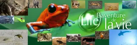 [ARTE HD] Life-L'Aventure de la Vie-La Serie Complete