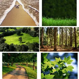 Wallpapers Nature. Set 17