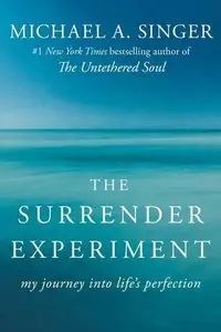 The Surrender Experiment: My Journey into Life's Perfection (repost)