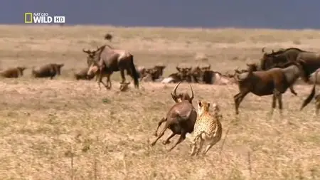 National Geographic - Africa’s Deadly Eden (2015)