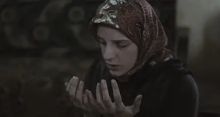 The Search (2014)