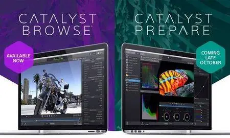 Sony Catalyst Browse Suite 2019.2