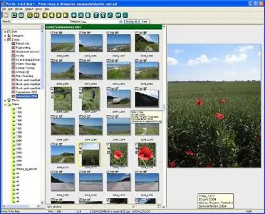 BR Software PixFiler 5.2.6