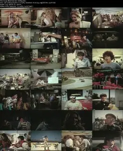 Swap Meet (1979) 