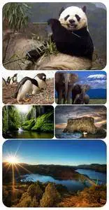 Wallpapers - Nature and animals 22