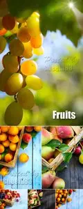 Stock Photo - Fruits