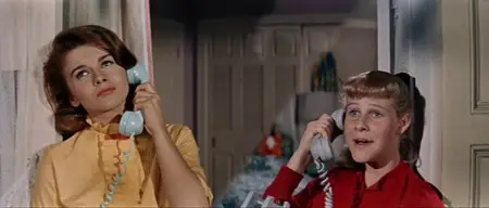 Bye Bye Birdie (1963)