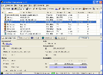 X-NetStat Professional ver. 5.49