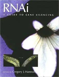 RNAi: A Guide to Gene Silencing (Repost)