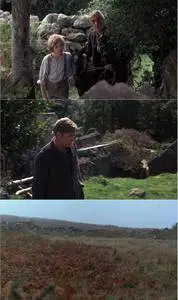 Black Beauty (1971)