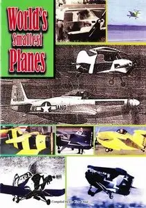World's Smallest Planes