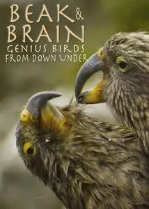 AlbatrossFilms - Beak and Brain: Genius Birds from Down under (2014)