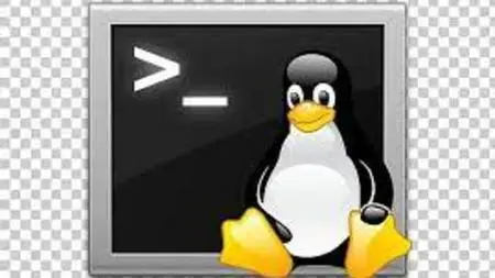 Shell Scripting For Oracle Dba