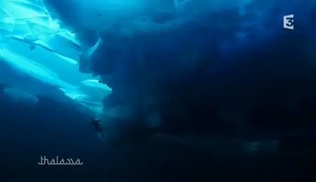 (Fr3) Thalassa du 14-01-2011 : Pôle Nord, Polynésie Française, Taïwan (2011)