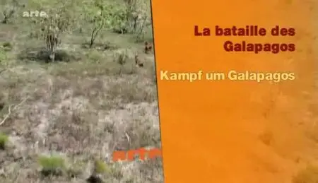 (Arte) La bataille des Galápagos (2012)