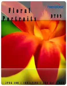 Floral Portraits