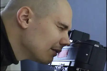 The Smashing Pumpkins - Greatest Hits Video Collection
