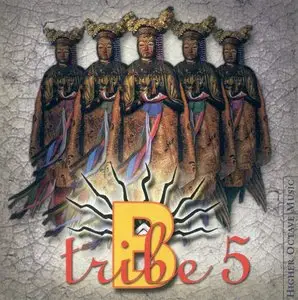 B-Tribe Discography (1994-2008, 7 albums)