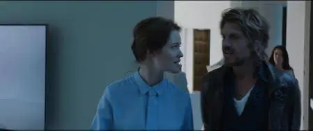 Control / Het Tweede Gelaat (2017)