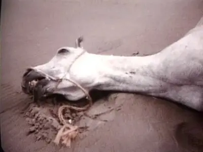 Lars von Trier - Medea (1988)