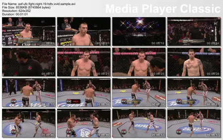 UFC Fight Night 19 