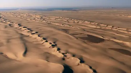 Micro Monsters With David Attenborough (2013)