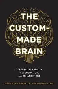 The Custom-Made Brain: Cerebral Plasticity, Regeneration, and Enhancement (repost)