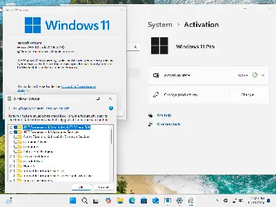 Windows 11 24H2 (No TPM Required) & Windows 10 22H2 AIO 31in1 (x64) Preactivated November 2024