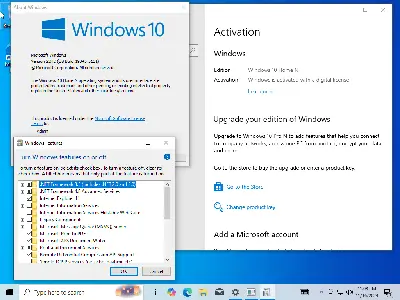 Windows 11 24H2 (No TPM Required) & Windows 10 22H2 AIO 31in1 (x64) Preactivated November 2024