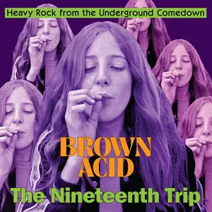 VA - Brown Acid - The Nineteenth Trip (2024) (Hi-Res)