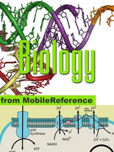 Biology Study Guide: Prokaryotes, Archaea, Eukaryotes, Viruses, Reproduction, Mendelian Genetics, Molecular Biology