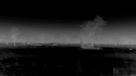 Big Cats S02E03