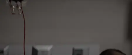 Bang (2025)