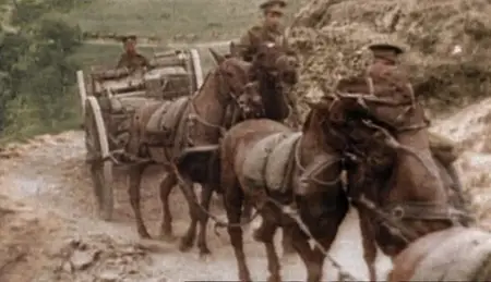 Channel 5 - World War I in Colour (2003)