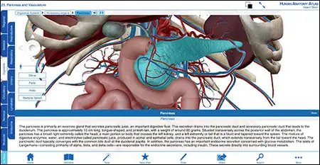 Visible Body Human Anatomy Atlas v3.0.1 Mac OS X (Repack)