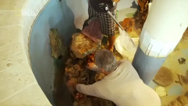 National Geographic - Fish Tank Kings: Secret Crystal Cave Fish Palace (2014)