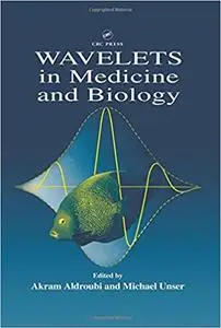Wavelets in Medicine and Biology
