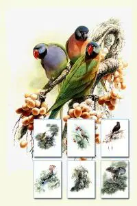 Birds Artwork
