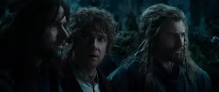 Der Hobbit: Eine unerwartete Reise (2012)