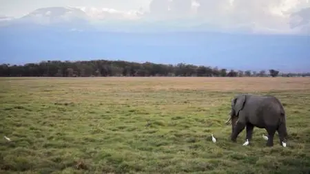 Photoshop: Editing Video and Creating Slideshows